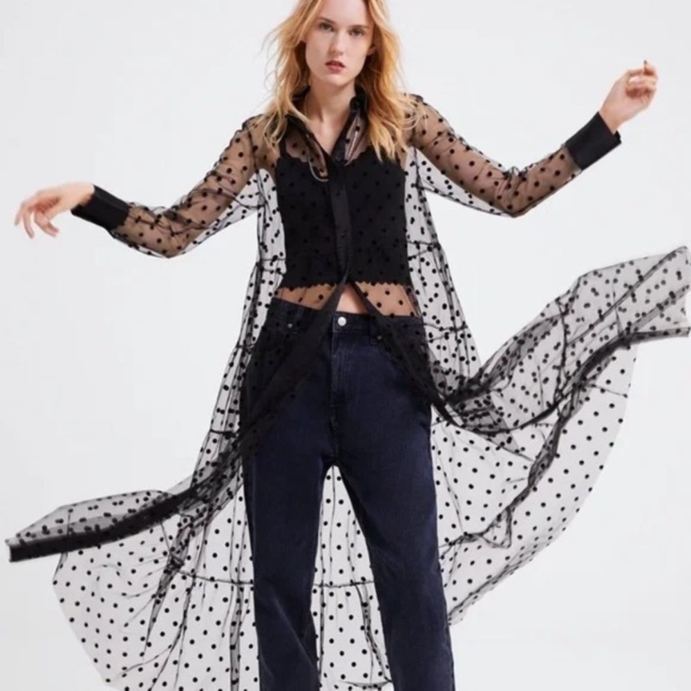 ZARA XL Blogger Fave Sheer Black Polka Dot Tulle Buttondown Long Sleeve Dress